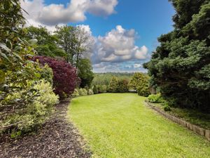 Photo 65- click for photo gallery